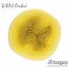 Whirl –  551 Daffodil Dolally