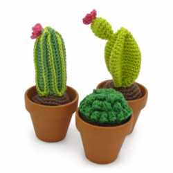 Kit crochet - Cactus
