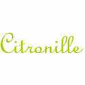 Citronille tricot